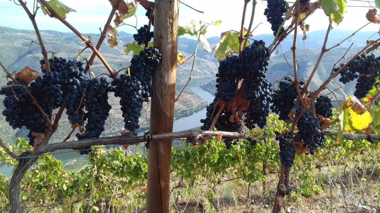 Stay At The Winemaker Ervedosa do Douro Екстер'єр фото