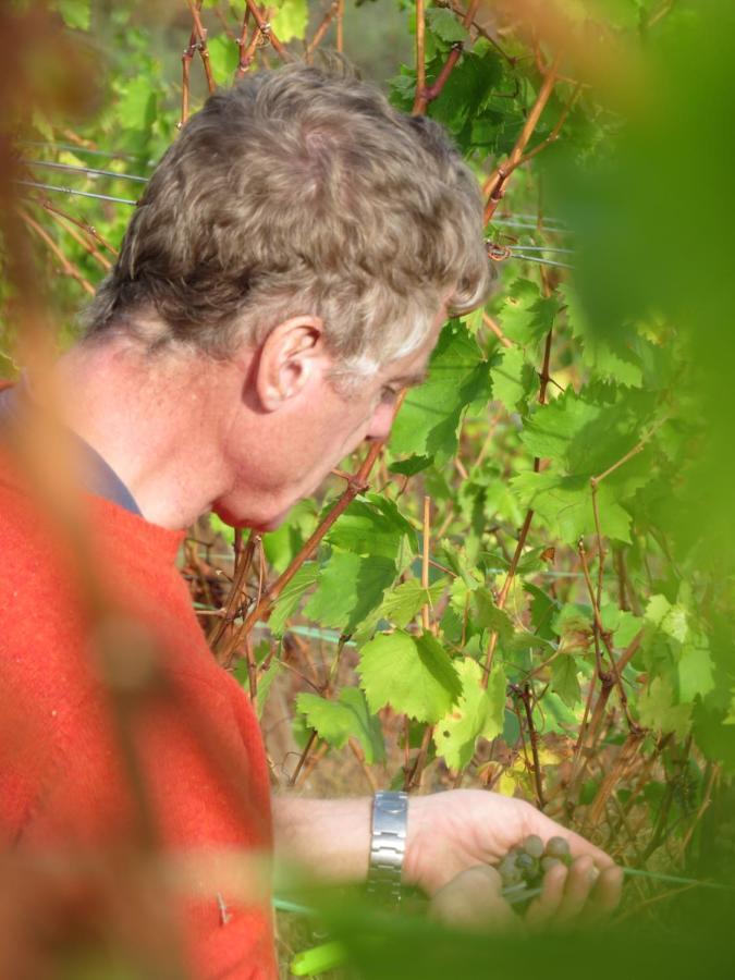 Stay At The Winemaker Ervedosa do Douro Екстер'єр фото