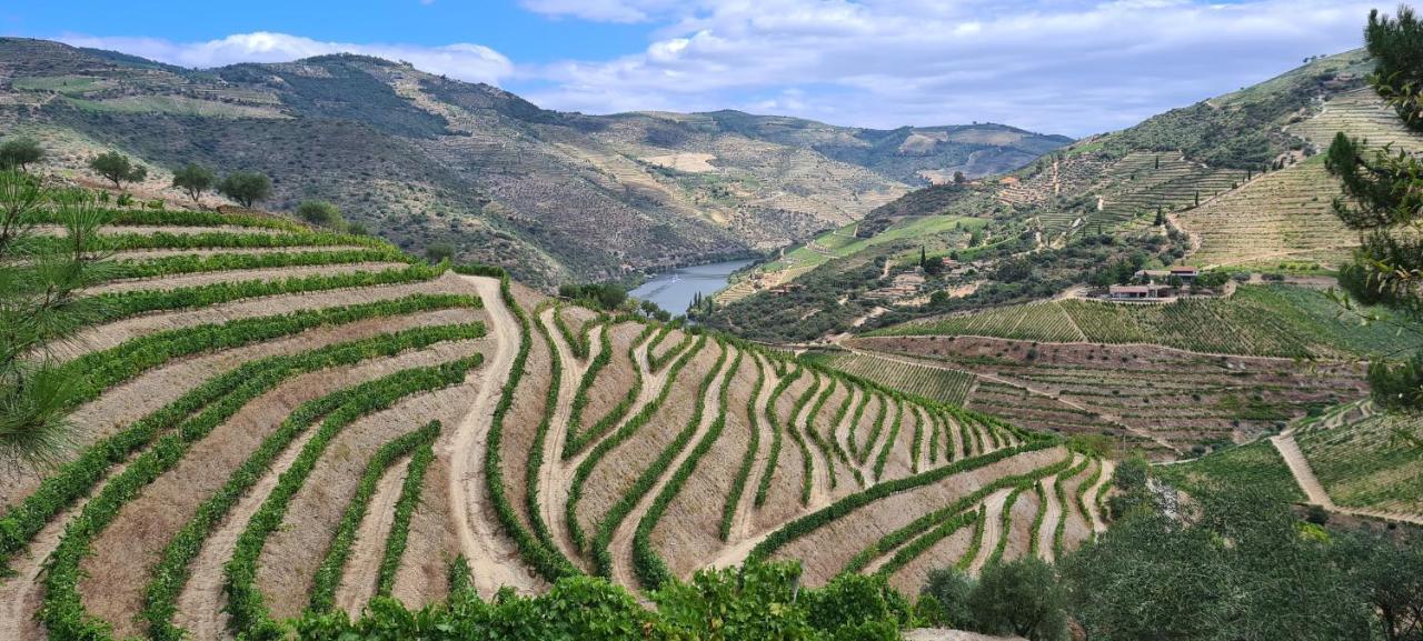 Stay At The Winemaker Ervedosa do Douro Екстер'єр фото