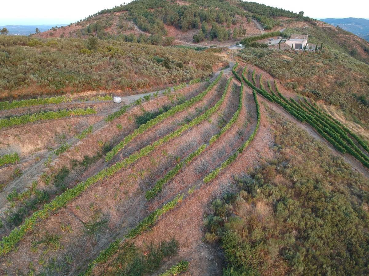 Stay At The Winemaker Ervedosa do Douro Екстер'єр фото