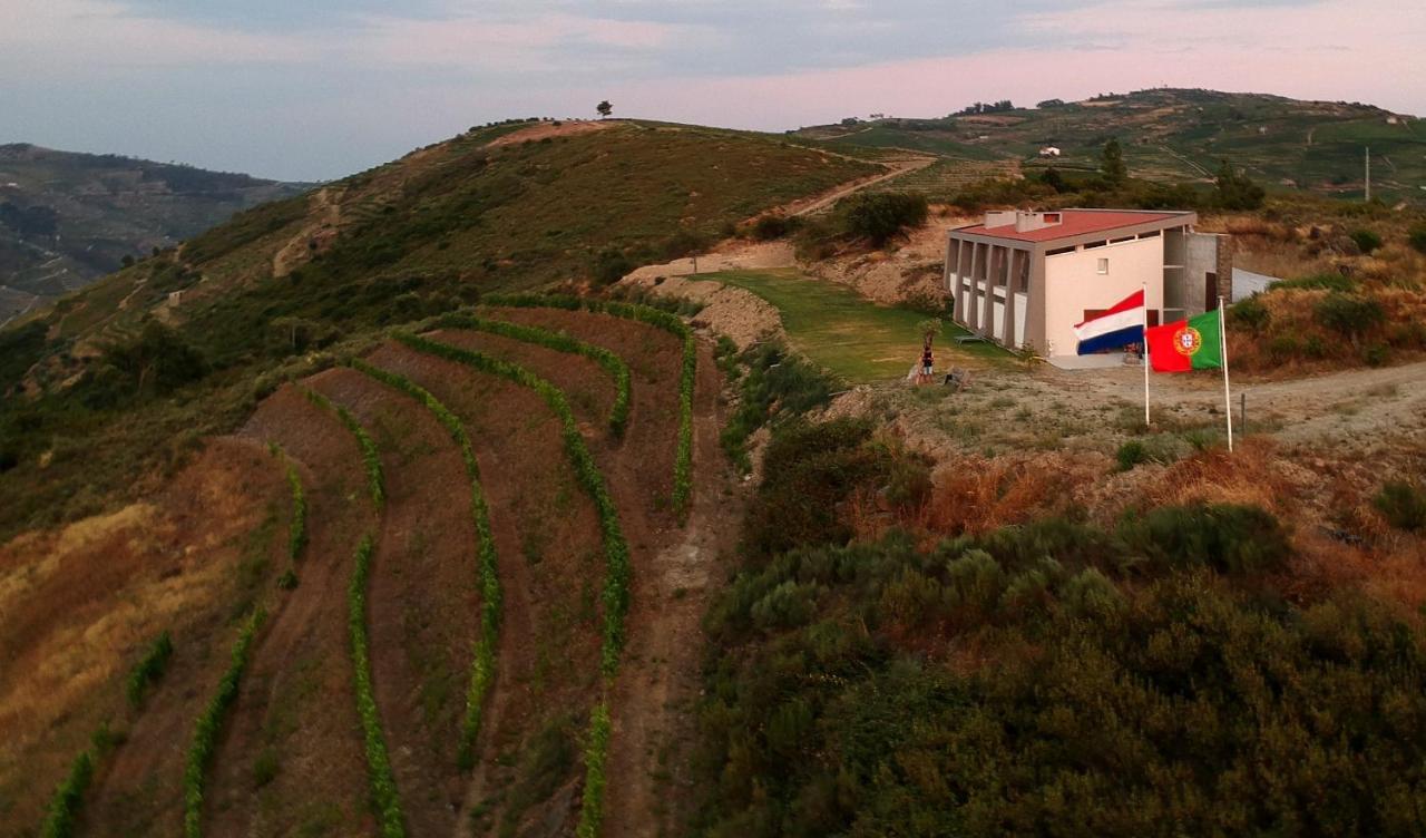 Stay At The Winemaker Ervedosa do Douro Екстер'єр фото