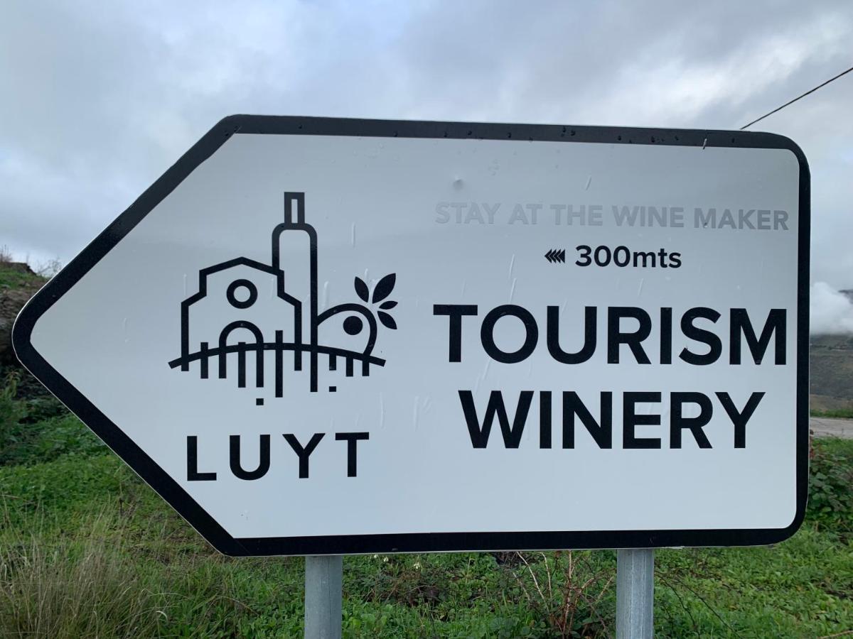 Stay At The Winemaker Ervedosa do Douro Екстер'єр фото