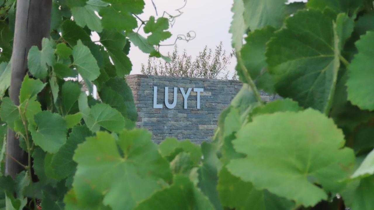 Stay At The Winemaker Ervedosa do Douro Екстер'єр фото